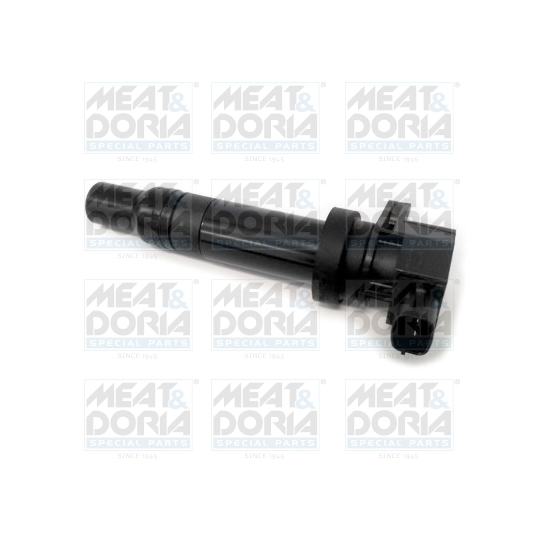 10621 - Ignition coil 