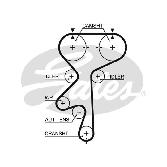 5461XS - Timing Belt 