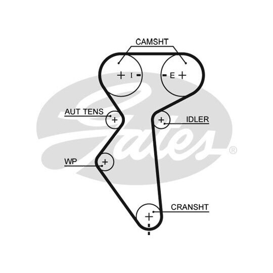 5419XS - Timing Belt 