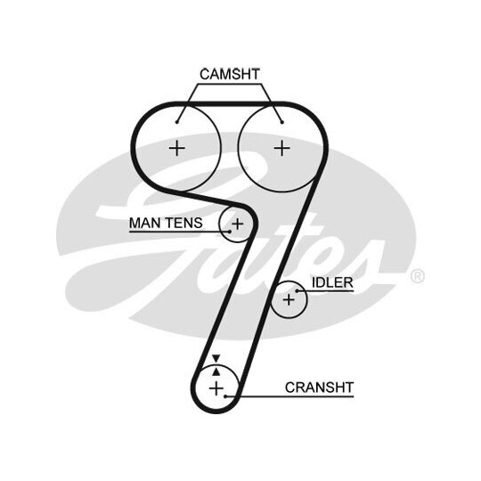 5336 - Timing Belt 