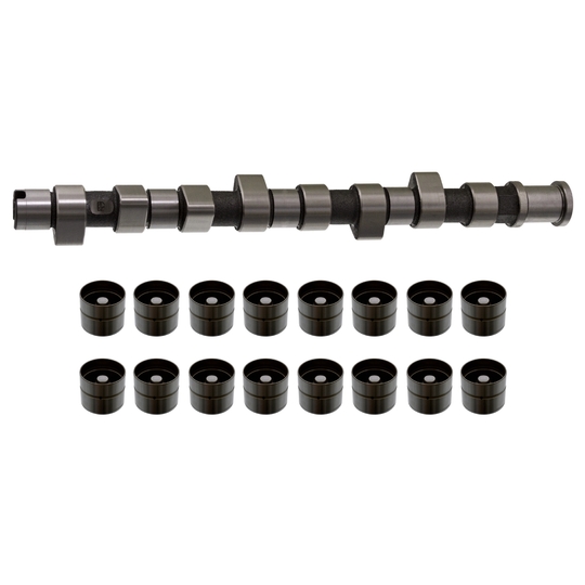 18810 - Camshaft Kit 