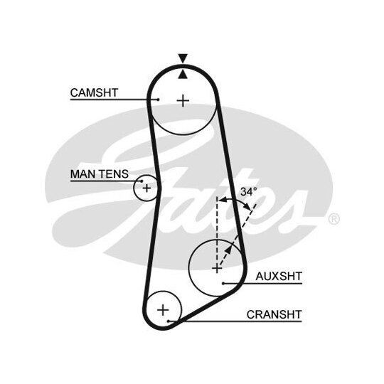 5089 - Timing Belt 