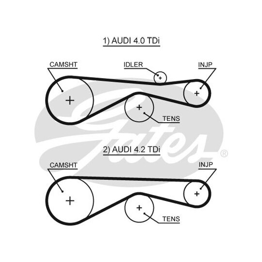 5613XS - Timing Belt 