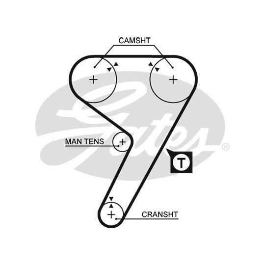 5298 - Timing Belt 