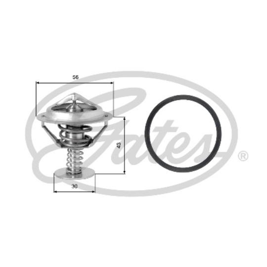TH05377G1 - Thermostat, coolant 