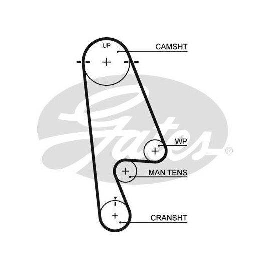 5480XS - Timing Belt 