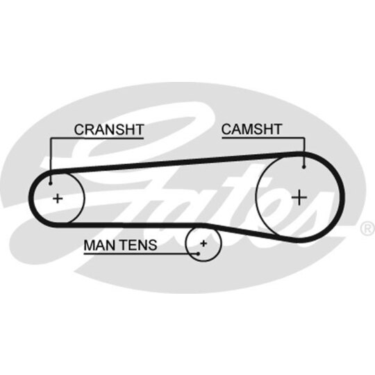 5116 - Timing Belt 