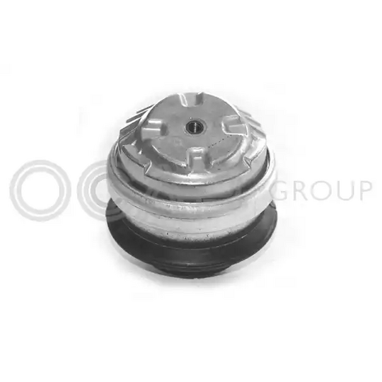 1225338 - Engine Mounting 