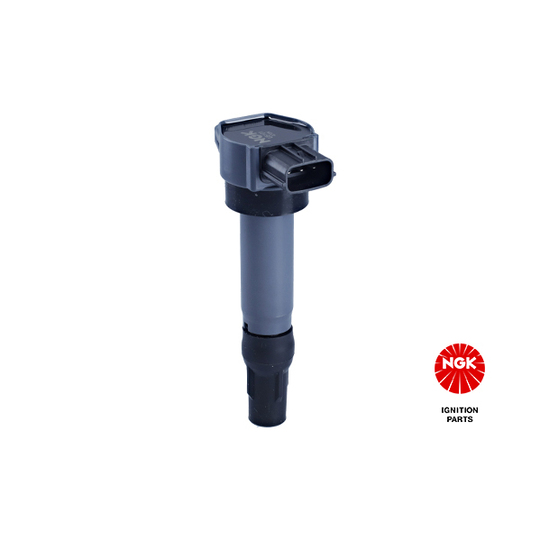 48317 - Ignition coil 