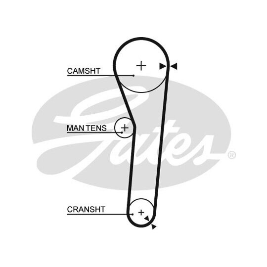 5091 - Timing Belt 