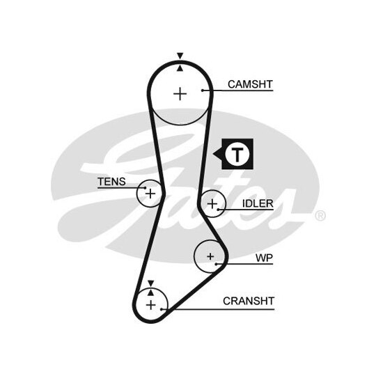 5264XS - Timing Belt 