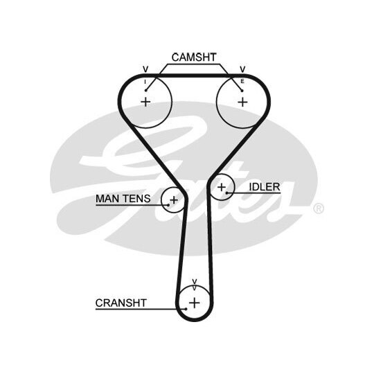 5487XS - Timing Belt 