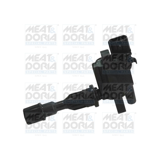 10667 - Ignition coil 