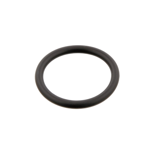 29752 - Seal Ring, coolant tube 