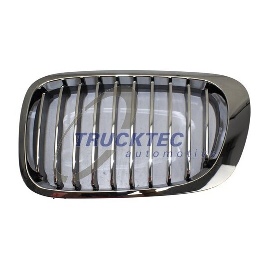 08.62.296 - Radiator Grille 