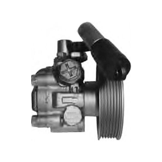 PI1257 - Hydraulic Pump, steering system 