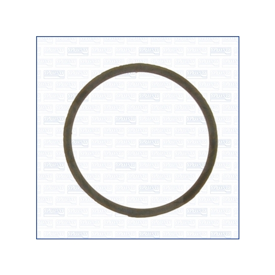 00963000 - Gasket, thermostat 