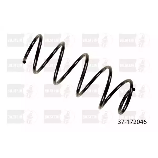 37-172046 - Coil Spring 