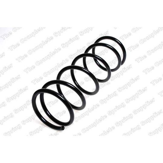 16029 - Coil Spring 