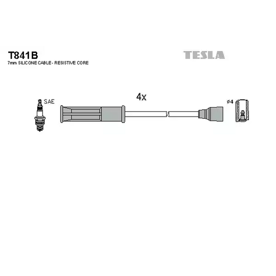 T841B - Ignition Cable Kit 