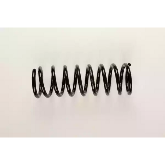 36-219254 - Coil Spring 