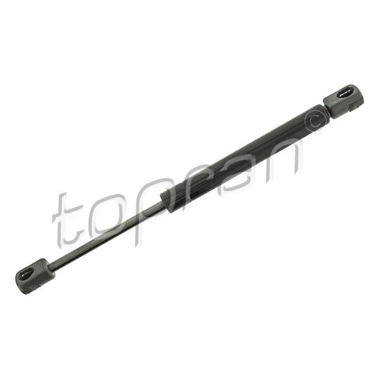 116 119 - Gas Spring, bonnet 