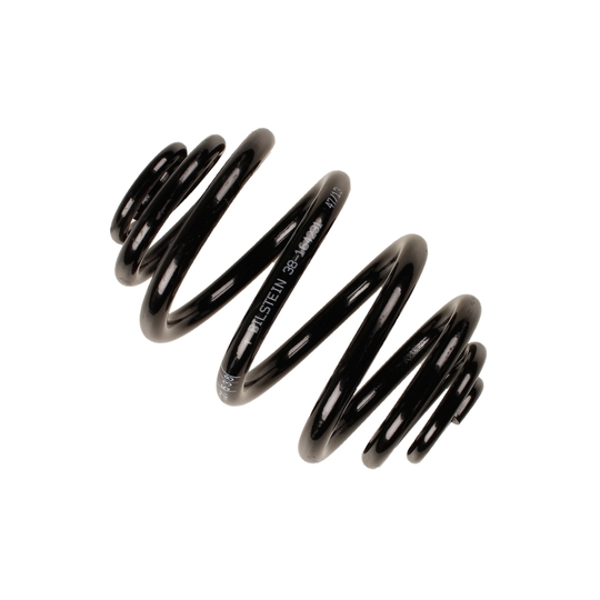 38-164231 - Coil Spring 