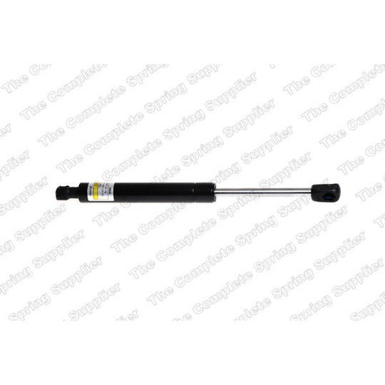 314017 - Gas Spring, bonnet 