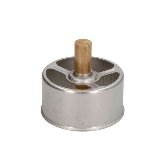 D2RV005TT - Thermostat, coolant 