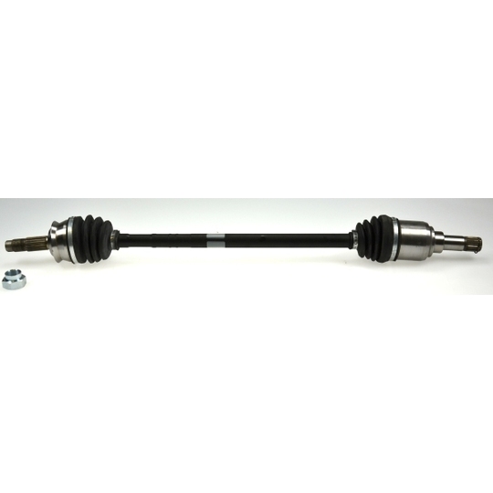 303655 - Drive Shaft 