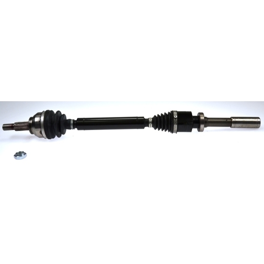 303631 - Drive Shaft 