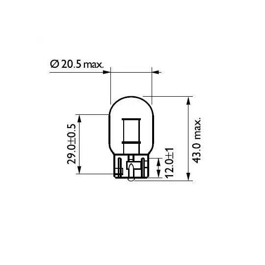 12065B2 - Bulb 