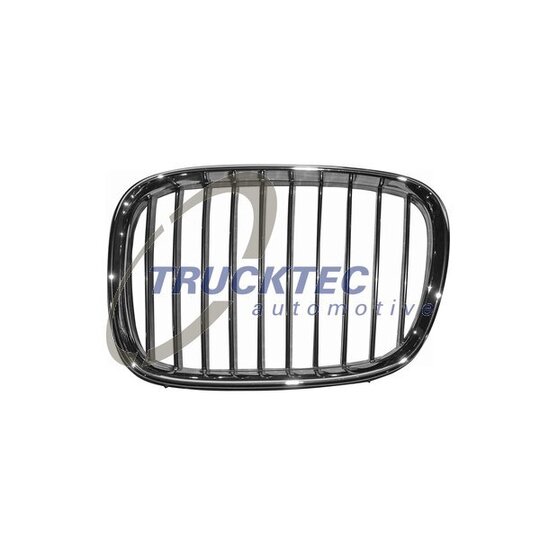 08.62.223 - Radiator Grille 