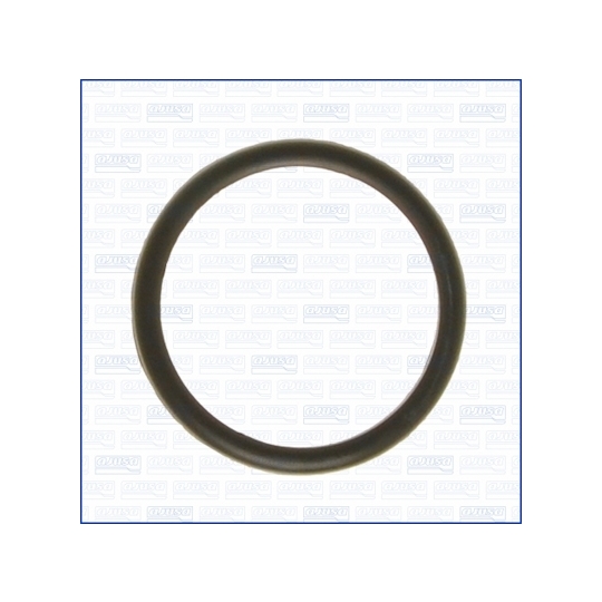 00538100 - Gasket, thermostat 