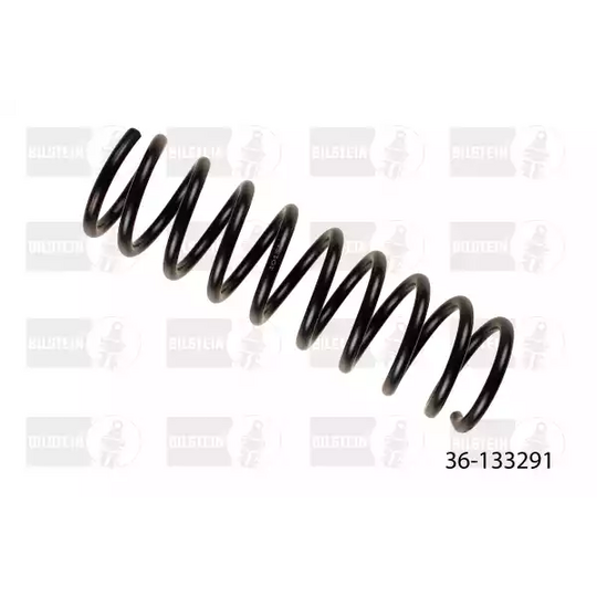 36-133291 - Coil Spring 