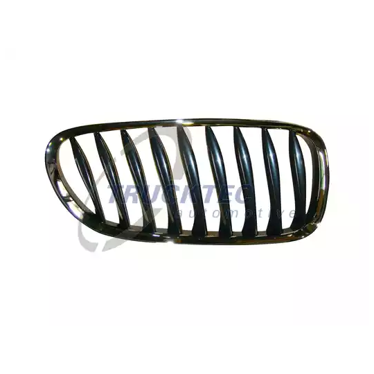 08.62.246 - Radiator Grille 