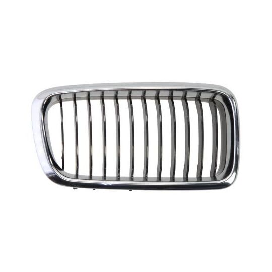 6502-07-0075996P - Radiator Grille 