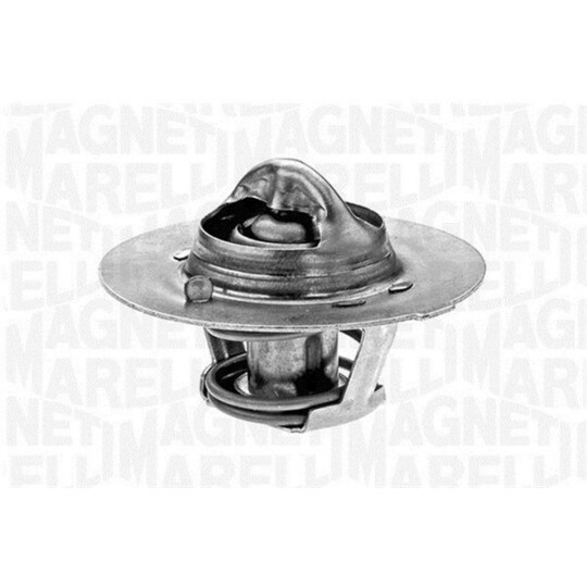 352020875100 - Thermostat, coolant 