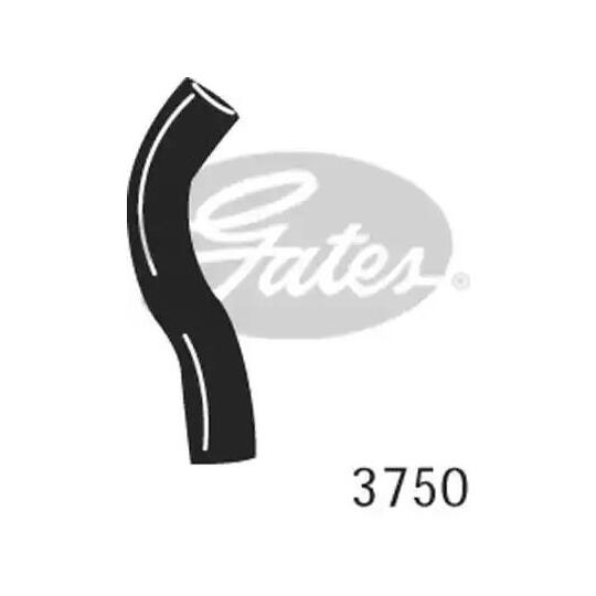3750 - Radiator Hose 