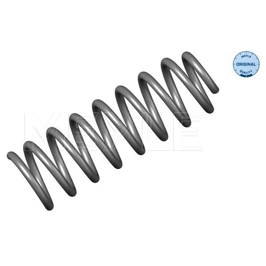 16-14 639 0000 - Coil Spring 