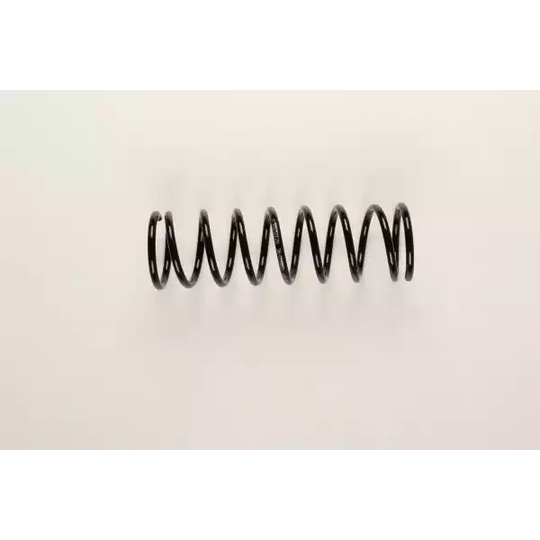 36-216802 - Coil Spring 