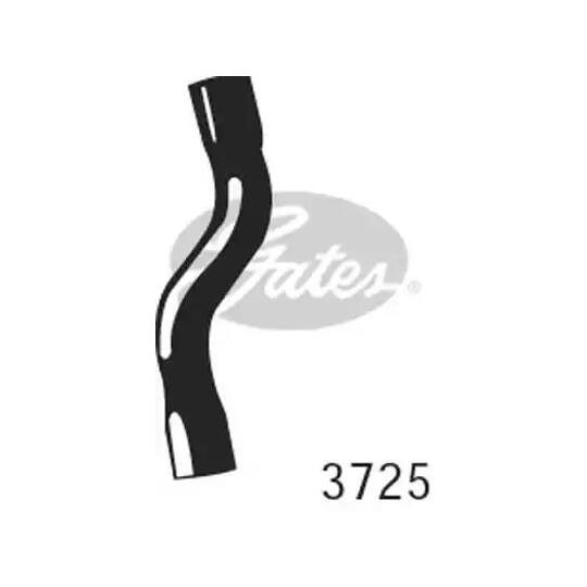 3725 - Radiator Hose 