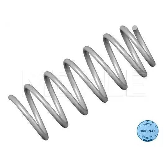 100 041 0005 - Coil Spring 