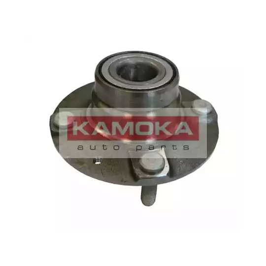 5500013 - Wheel Bearing Kit 