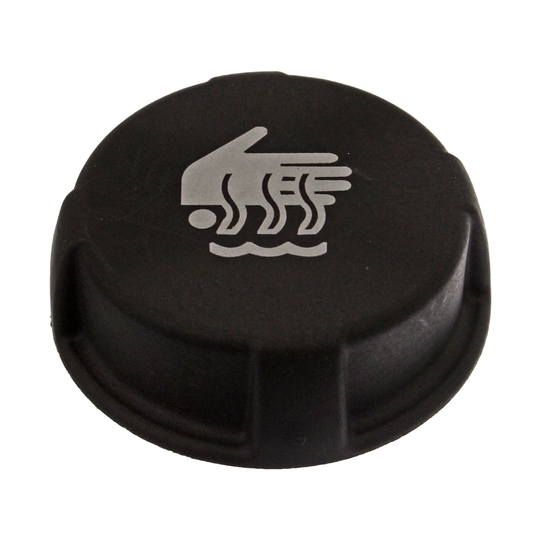 40245 - Sealing Cap, coolant tank 