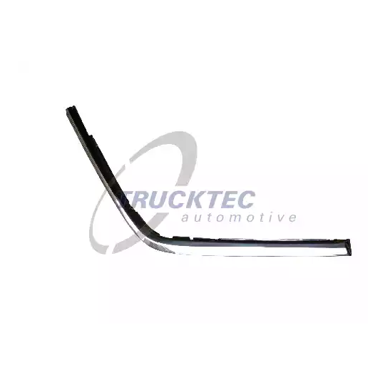 Trim/Protective Strip, bumper