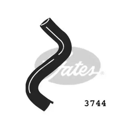 3744 - Radiator Hose 