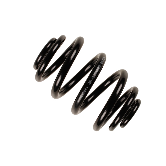 38-129223 - Coil Spring 