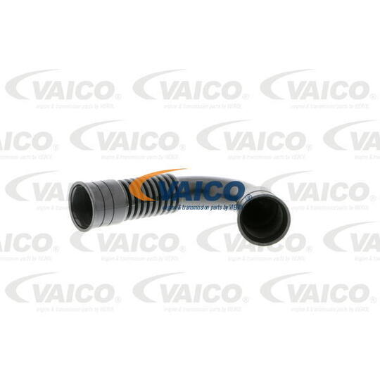 V10-9737 - Hose, cylinder head cover breather 