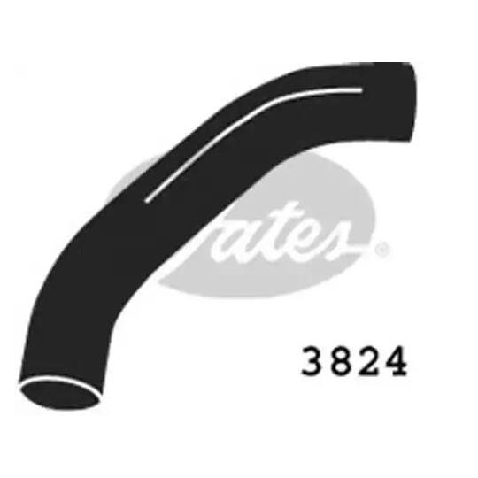3824 - Radiator Hose 